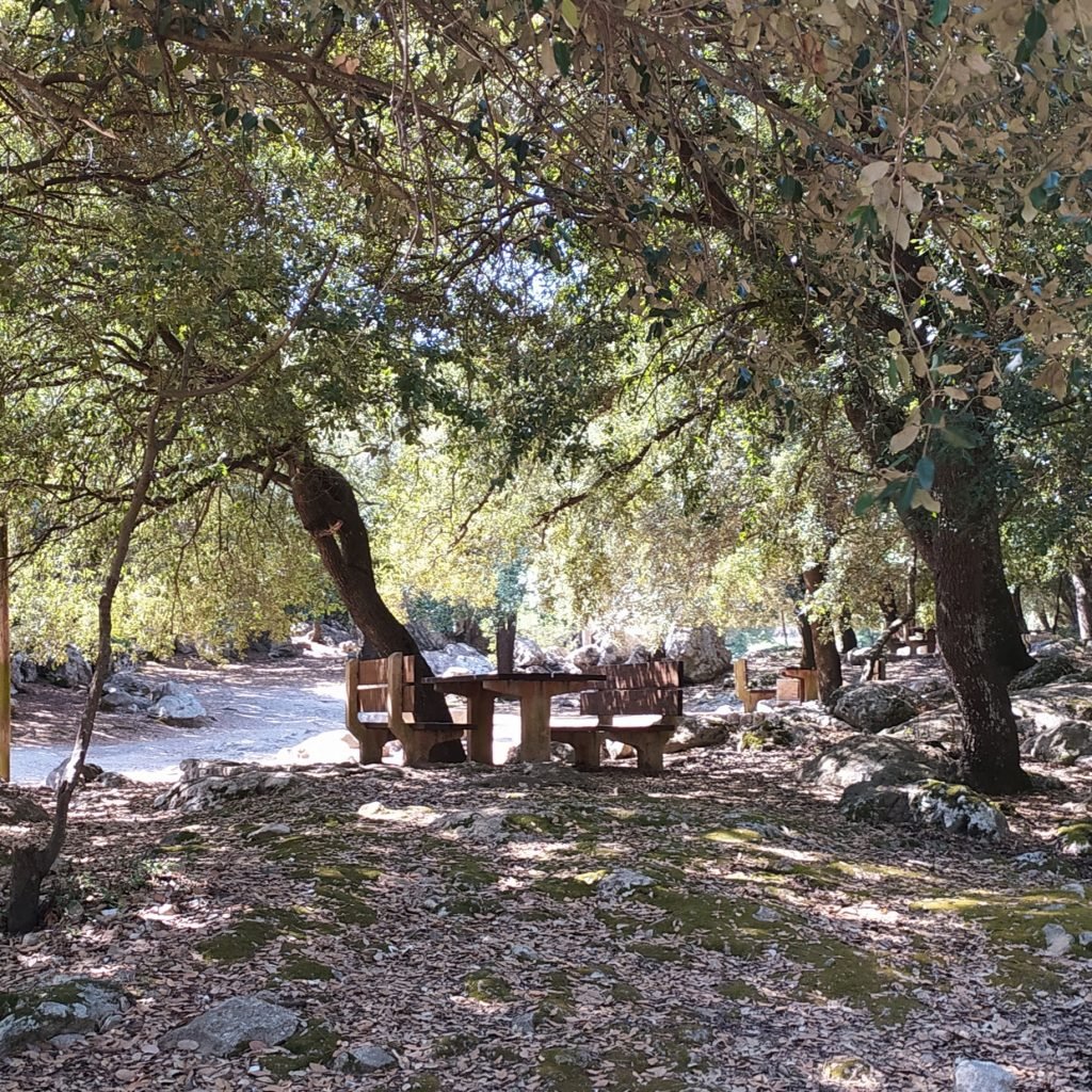 marjanor