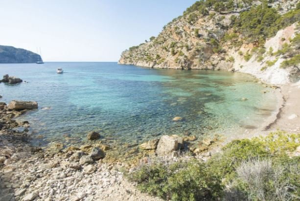 playa perros mallorca